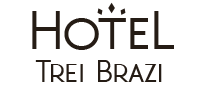 HOTEL-TREI-BRAZI-LOGO